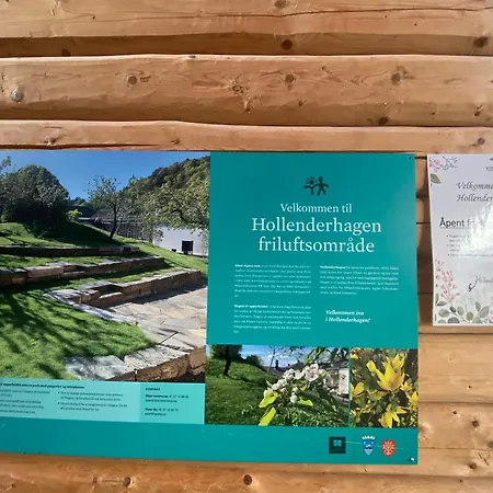 Sjarmerende Leilighet I Hjertet Av Risor Exterior photo